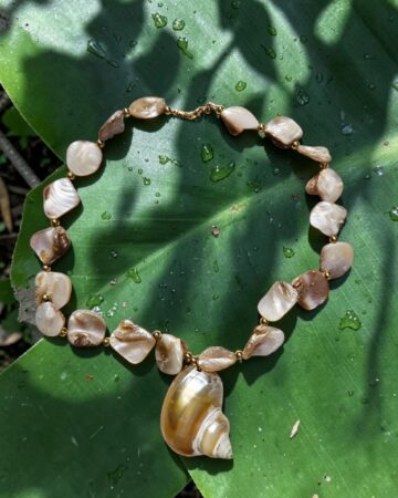Aruba Shell Necklace