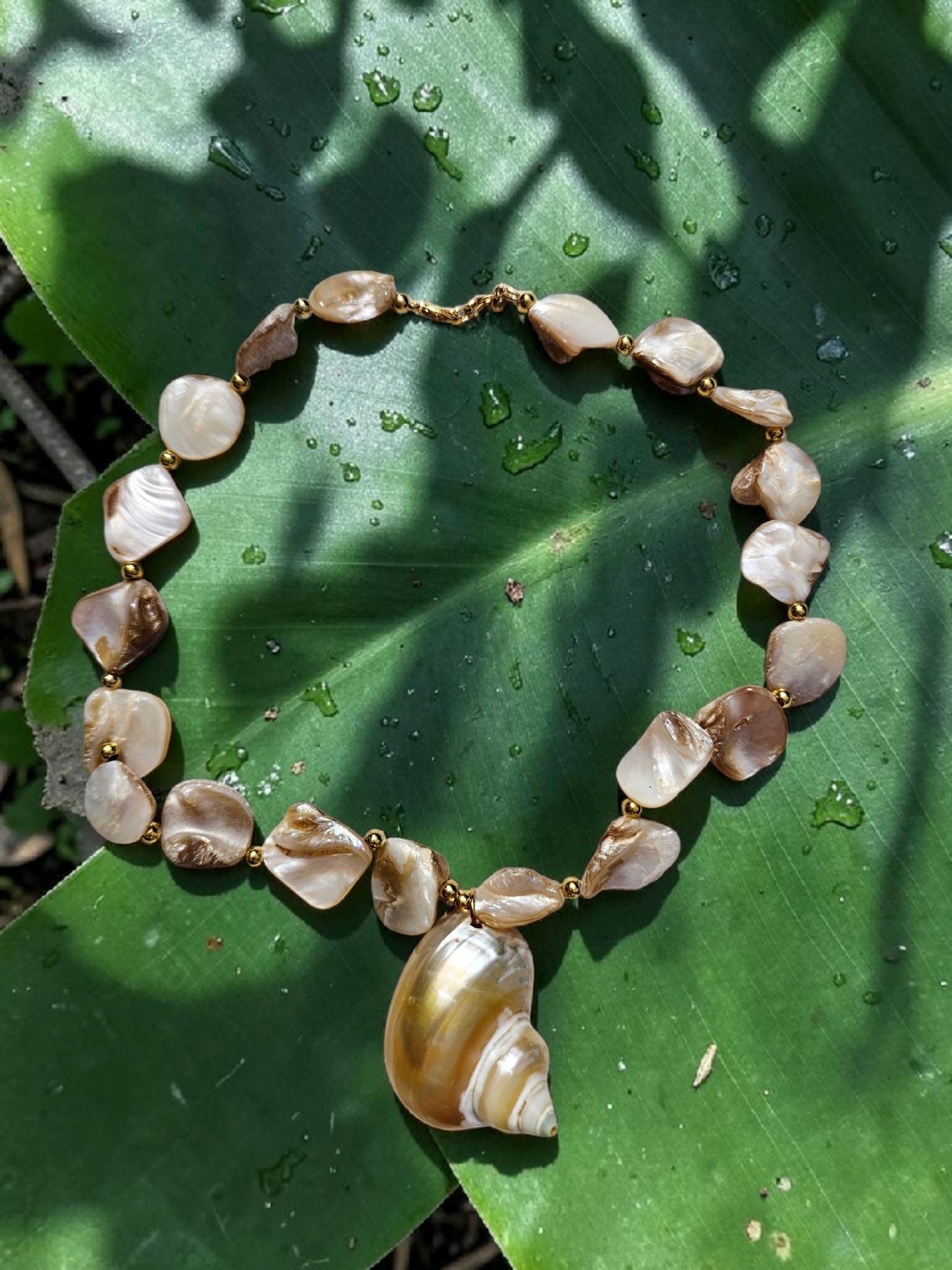 Aruba Shell Necklace