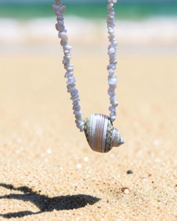 Aruba Shell Necklace